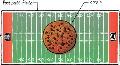 Biggest Cookie by Immaculate Baking Company